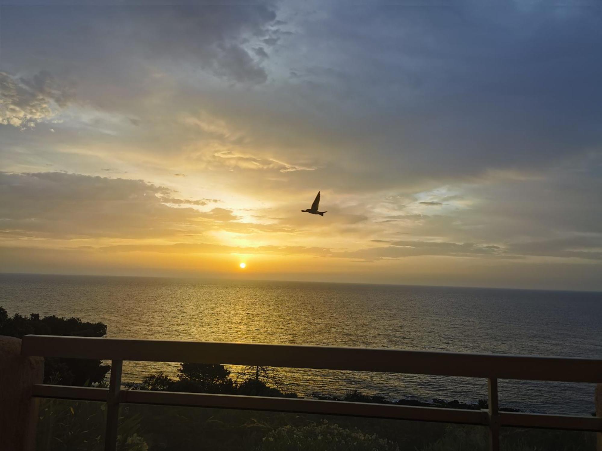 קונקה Studio Vue Sur Mer מראה חיצוני תמונה