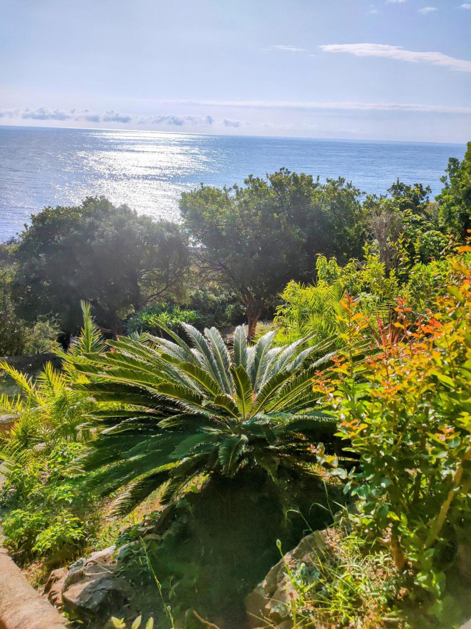 קונקה Studio Vue Sur Mer מראה חיצוני תמונה