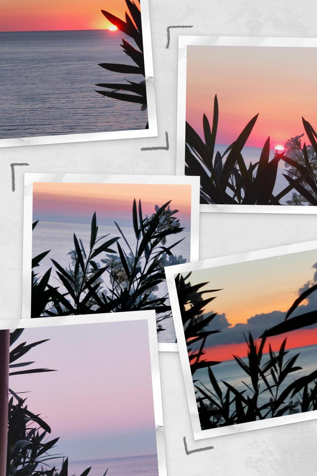 קונקה Studio Vue Sur Mer מראה חיצוני תמונה