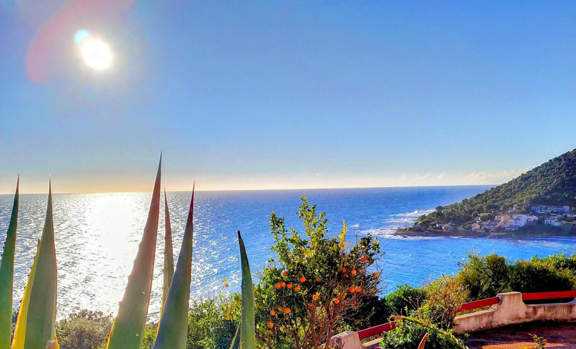 קונקה Studio Vue Sur Mer מראה חיצוני תמונה