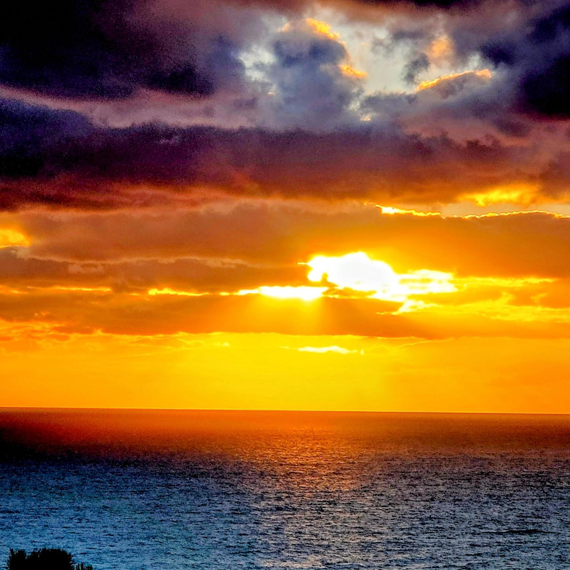 קונקה Studio Vue Sur Mer מראה חיצוני תמונה