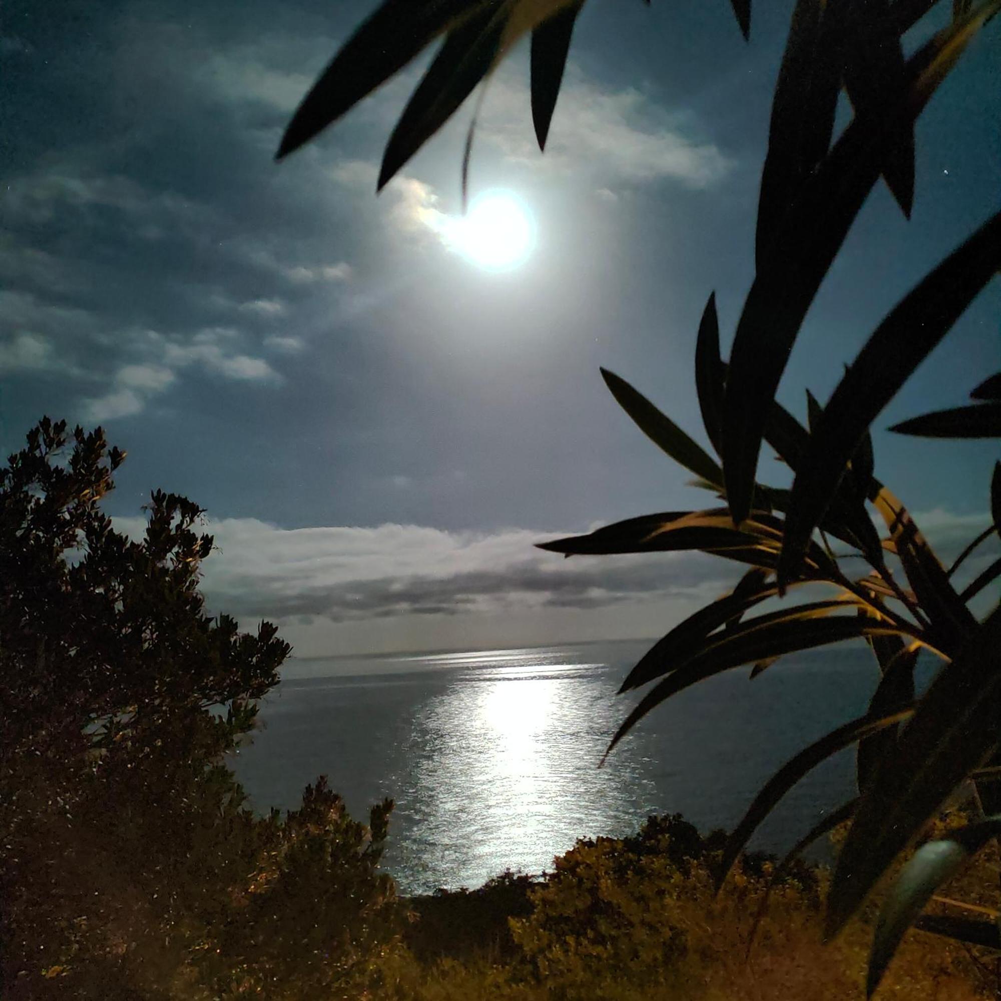 קונקה Studio Vue Sur Mer מראה חיצוני תמונה