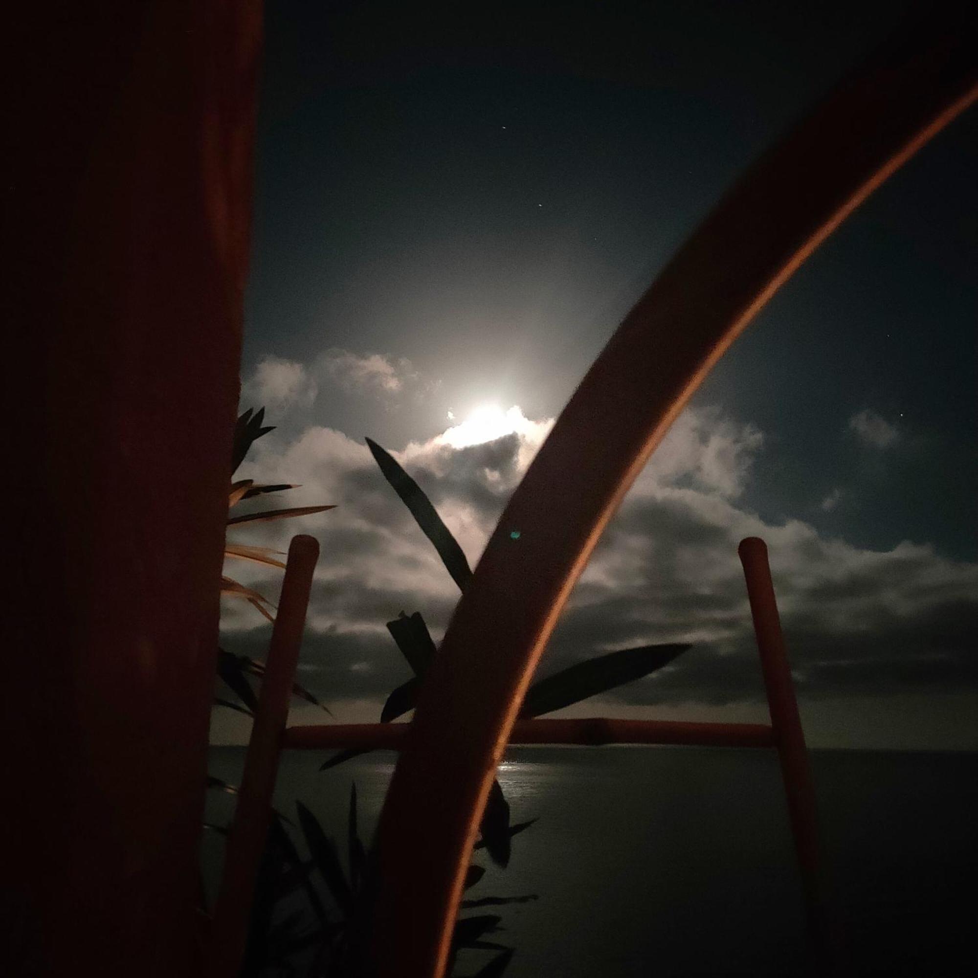 קונקה Studio Vue Sur Mer מראה חיצוני תמונה