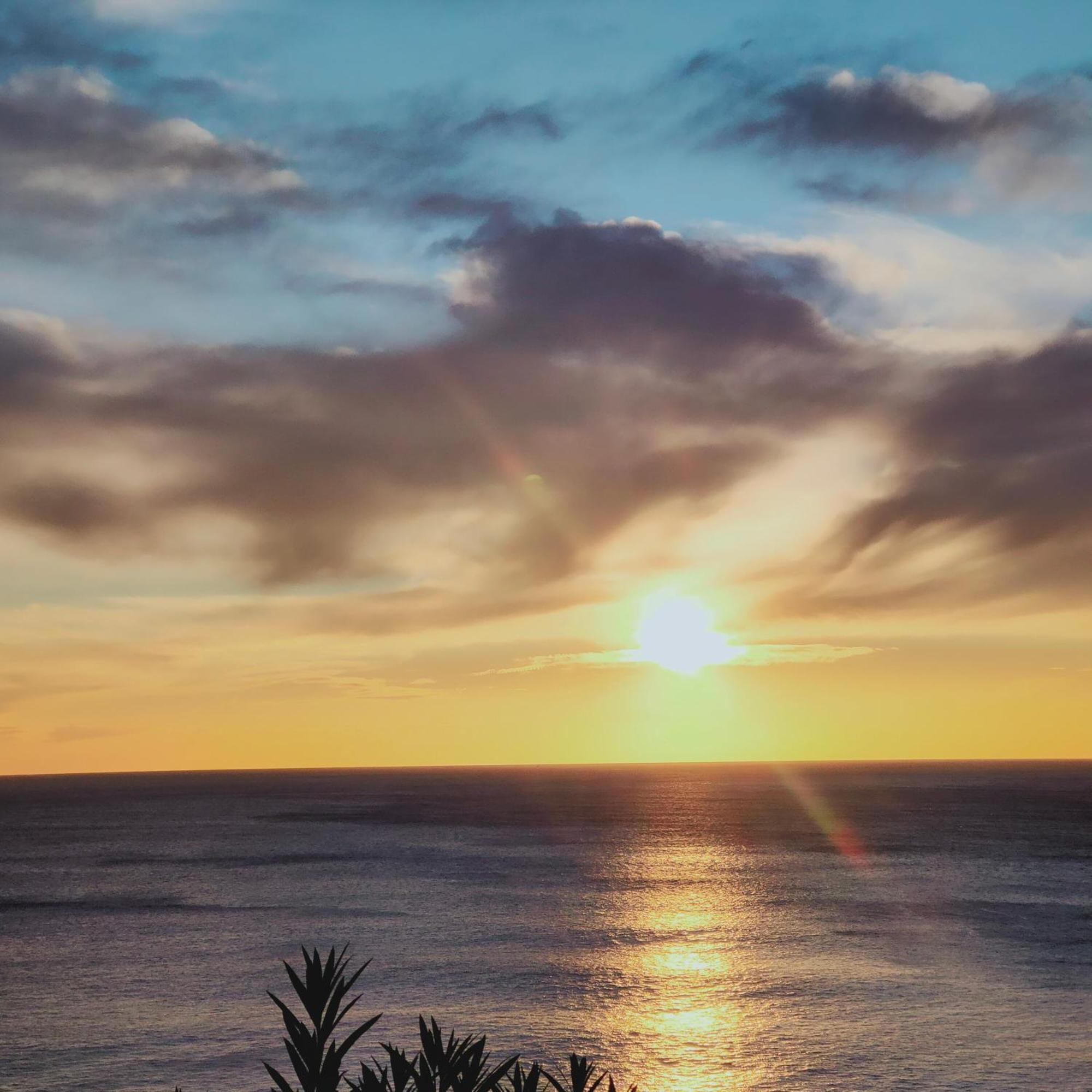 קונקה Studio Vue Sur Mer מראה חיצוני תמונה