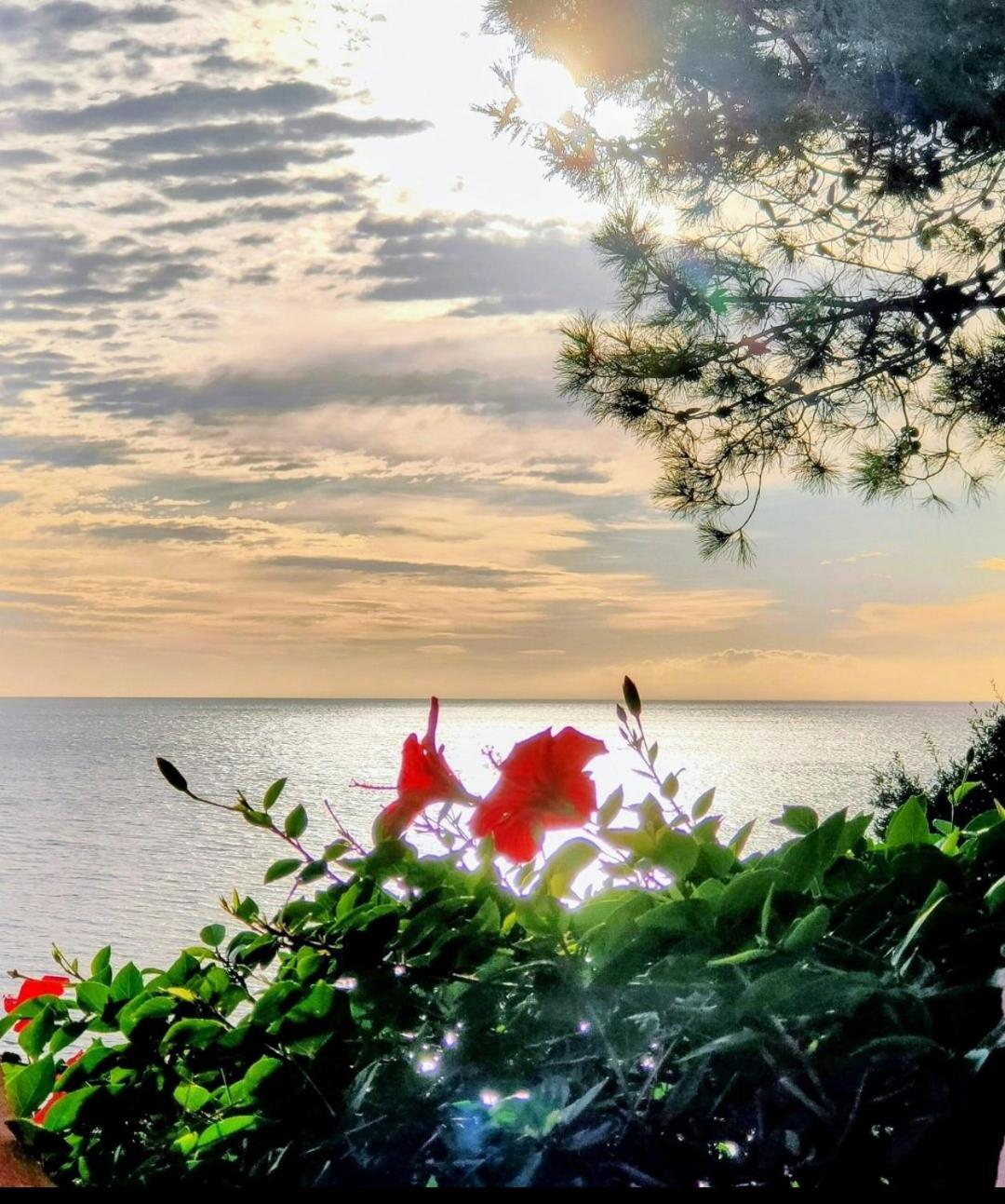 קונקה Studio Vue Sur Mer מראה חיצוני תמונה
